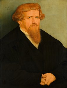 Retrato, de, um, homem, com, um, vermelho, barba
